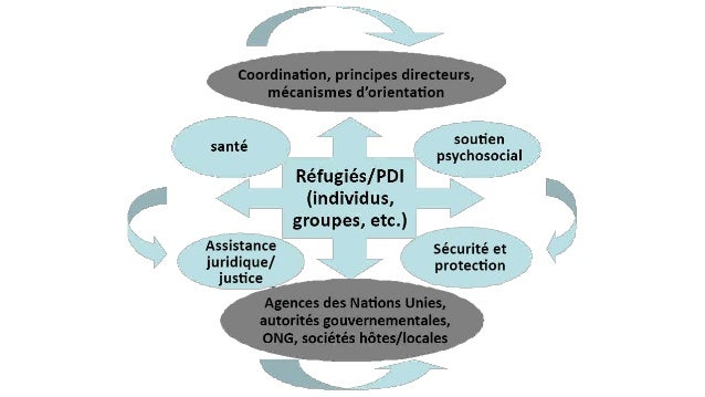 Module 4 nonspécialiste de la VBG