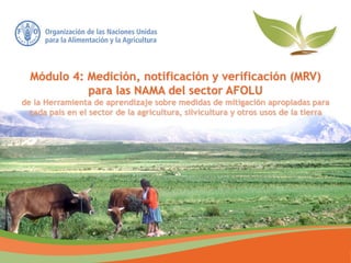 Módulo 4: Medición, notificación y verificación (MRV)
para las NAMA del sector AFOLU
de la Herramienta de aprendizaje sobre medidas de mitigación apropiadas para
cada país en el sector de la agricultura, silvicultura y otros usos de la tierra
 