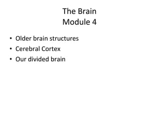 The Brain Module 4 ,[object Object],[object Object],[object Object]