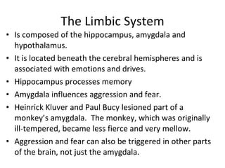 The Limbic System Is composed of the hippocampus, amygdala and hypothalamus. It is located beneath the cerebral hemispheres and is associated with emotions and drives. Hippocampus processes memory Amygdala influences aggression and fear. Heinrick Kluver and Paul Bucy lesioned part of a monkey’s amygdala.  The monkey, which was originally ill-tempered, became less fierce and very mellow. Aggression and fear can also be triggered in other parts of the brain, not just the amygdala. 