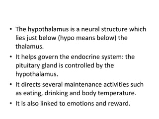 The hypothalamus is a neural structure which lies just below (hypo means below) the thalamus.  It helps govern the endocrine system: the pituitary gland is controlled by the hypothalamus. It directs several maintenance activities such as eating, drinking and body temperature. It is also linked to emotions and reward. 