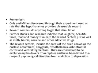 Remember: Olds and Milner discovered through their experiment used on rats that the hypothalamus provides pleasurable reward Reward centers- do anything to get that stimulation Further studies and research indicate that laughter, beautiful faces, food and money stimulate the reward centers just as well as meth, heroin, cocaine and other addictive drugs. The reward centers, include the areas of the brain known as the nucleus accumbens, amygdala, hypothalamus, orbitofrontal cortex and ventral tegmentum.  They are considered to be evolutionary holdovers from reptiles and have been linked to a range of psychological disorders from addiction to depression.  
