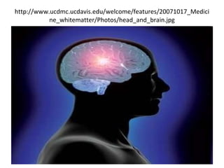 http://www.ucdmc.ucdavis.edu/welcome/features/20071017_Medicine_whitematter/Photos/head_and_brain.jpg 