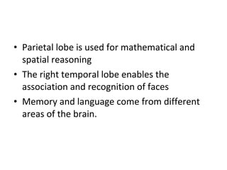 Parietal lobe is used for mathematical and spatial reasoning The right temporal lobe enables the association and recognition of faces Memory and language come from different areas of the brain. 