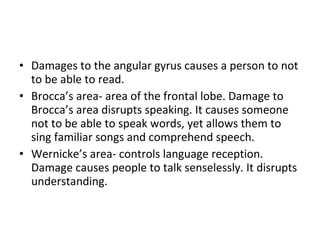 Damages to the angular gyrus causes a person to not to be able to read. Brocca’s area- area of the frontal lobe. Damage to Brocca’s area disrupts speaking. It causes someone not to be able to speak words, yet allows them to sing familiar songs and comprehend speech. Wernicke’s area- controls language reception. Damage causes people to talk senselessly. It disrupts understanding. 