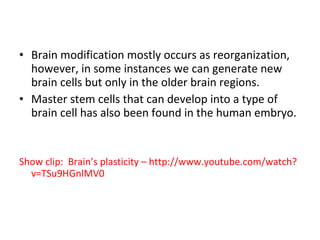 Brain modification mostly occurs as reorganization, however, in some instances we can generate new brain cells but only in the older brain regions.  Master stem cells that can develop into a type of brain cell has also been found in the human embryo. Show clip:  Brain’s plasticity – http://www.youtube.com/watch?v=TSu9HGnlMV0 