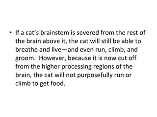 If a cat’s brainstem is severed from the rest of the brain above it, the cat will still be able to breathe and live—and even run, climb, and groom.  However, because it is now cut off from the higher processing regions of the brain, the cat will not purposefully run or climb to get food.  