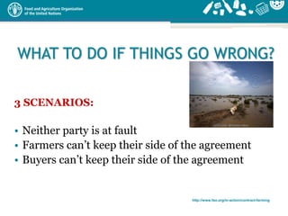 http://www.fao.org/in-action/contract-farming
WHAT TO DO IF THINGS GO WRONG?
3 SCENARIOS:
• Neither party is at fault
• Fa...