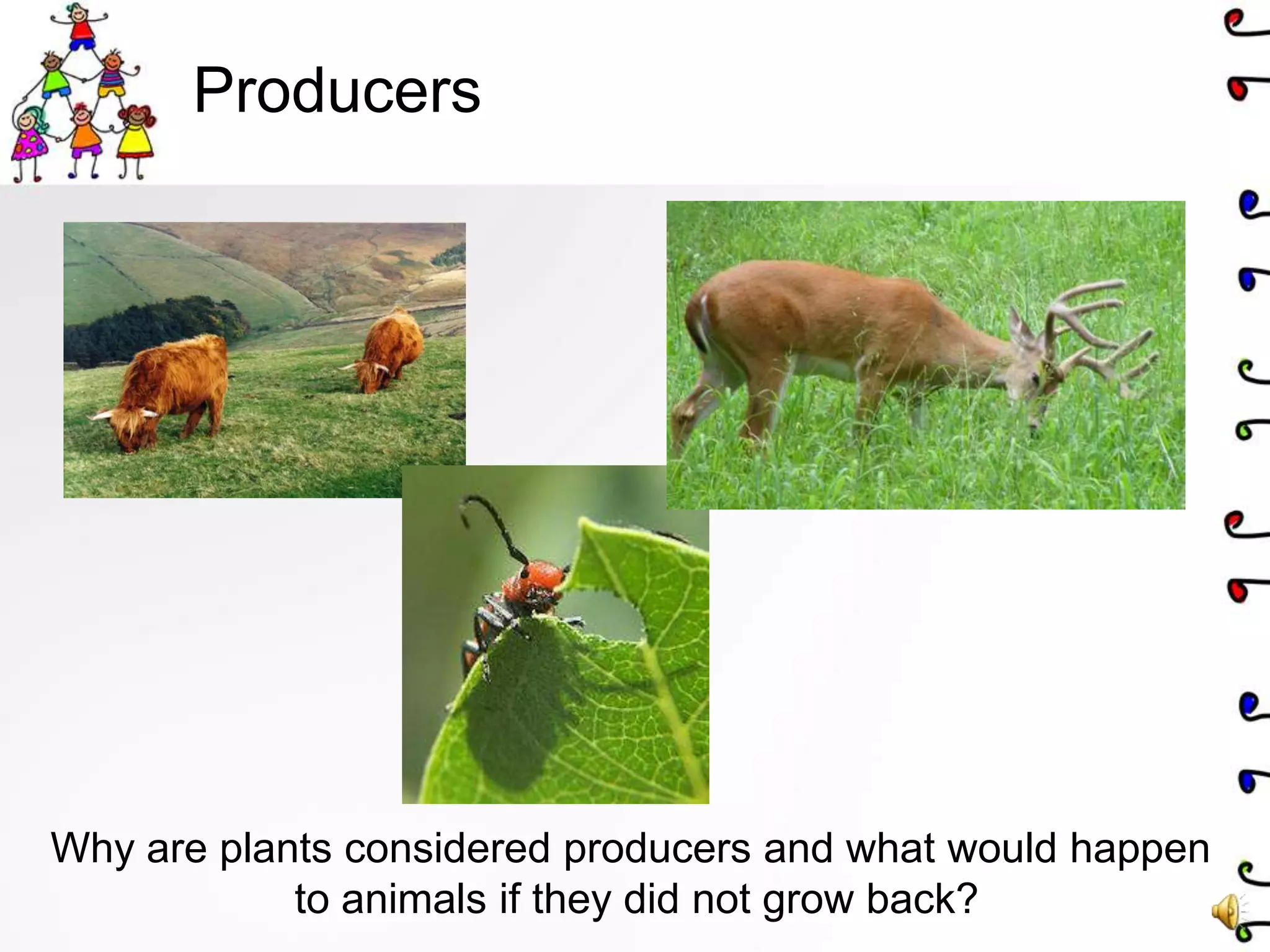 Module5 ppt