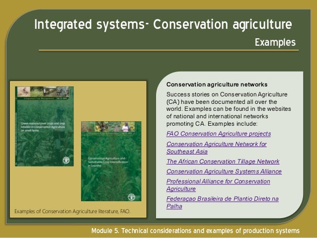 agriculture examples