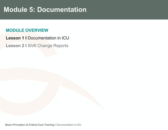 Module 5.1 Documentation in ICU | PPTX | Healthcare Industry | Industries
