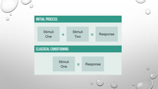 Module 5 Consumer Learning Ppt Module 5 Consumer Learning Ppt
