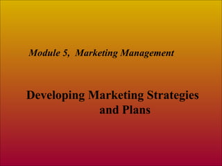 Developing Marketing Strategies
and Plans
Module 5, Marketing Management
 