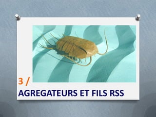 3 /
AGREGATEURS ET FILS RSS
 