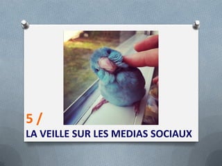 5 /
LA VEILLE SUR LES MEDIAS SOCIAUX
 