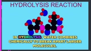 Module 5 - Exogenic Processes-EARTH SCIENCE.pptx