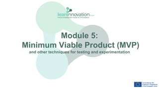 Module 5:
Minimum Viable Product (MVP)
and other techniques for testing and experimentation
1
 