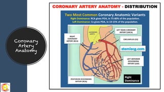 Module 5 tips and tricks- stemi ecg recognition & patterns finale | PDF