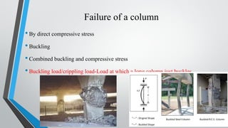 module 5 1.pdf
