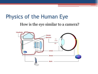 Physics of the Human Eye
How is the eye similar to a camera?
 
