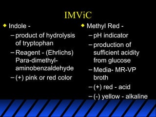 Module 5a   biochemical activities