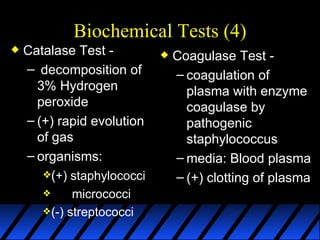 Module 5a   biochemical activities