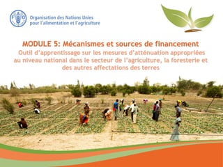 MODULE 5: Mécanismes et sources de financement
Outil d’apprentissage sur les mesures d’atténuation appropriées
au niveau national dans le secteur de l’agriculture, la foresterie et
des autres affectations des terres
 
