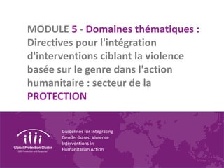Guidelines for Integrating
Gender-based Violence
Interventions in
Humanitarian Action
MODULE 5 - Domaines thématiques :
Directives pour l'intégration
d'interventions ciblant la violence
basée sur le genre dans l'action
humanitaire : secteur de la
PROTECTION
