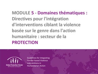 Guidelines for Integrating
Gender-based Violence
Interventions in
Humanitarian Action
MODULE 5 - Domaines thématiques :
Directives pour l'intégration
d'interventions ciblant la violence
basée sur le genre dans l'action
humanitaire : secteur de la
PROTECTION
 