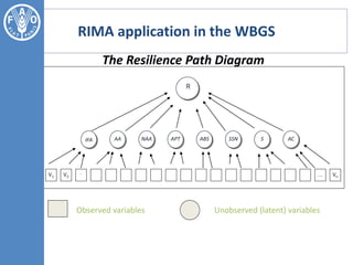 RIMA application in the WBGS
Observed variables Unobserved (latent) variables
R
IFA ACSSSNABSAPTNAAAA
...
V2V1 Vn...
The Resilience Path Diagram
 
