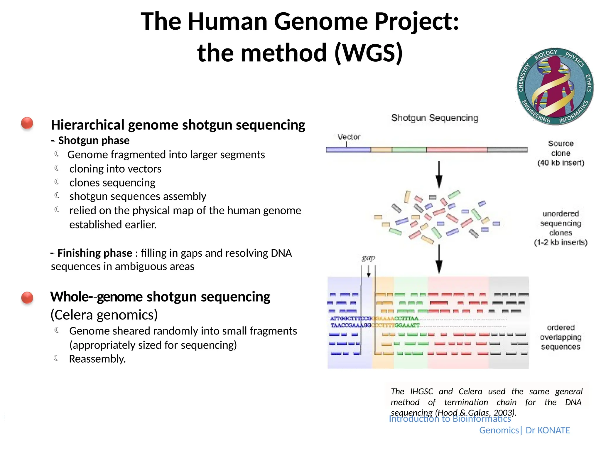 The Human Genome Project:
the method (WGS)
Hierarchical genome shotgun sequencing
-
­
‐ Shotgun phase
 Genome fragmented into larger segments
 cloning into vectors
 clones sequencing
 shotgun sequences assembly
 relied on the physical map of the human genome
established earlier.
-
­
‐ Finishing phase : filling in gaps and resolving DNA
sequences in ambiguous areas
Whole-­genome
‐ shotgun sequencing
(Celera genomics)
 Genome sheared randomly into small fragments
(appropriately sized for sequencing)
 Reassembly.
The IHGSC and Celera used the same general
method of termination chain for the DNA
Introduction to Bioinformatics
sequencing (Hood & Galas, 2003).
Genomics| Dr KONATE
 