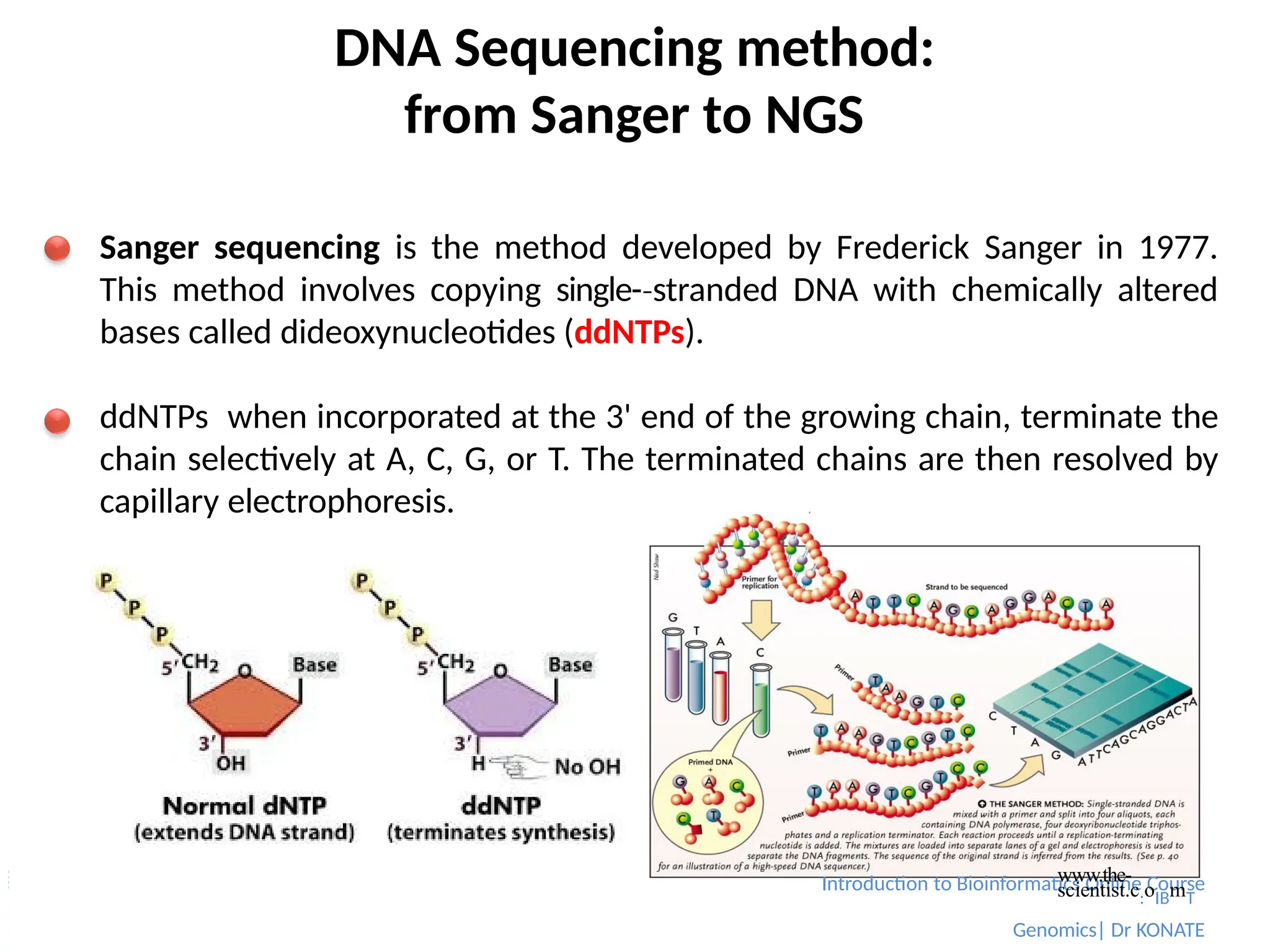 DNA Sequencing method:
from Sanger to NGS
Sanger sequencing is the method developed by Frederick Sanger in 1977.
This method involves copying single-­stranded
‐ DNA with chemically altered
bases called dideoxynucleotides (ddNTPs).
ddNTPs when incorporated at the 3' end of the growing chain, terminate the
chain selectively at A, C, G, or T. The terminated chains are then resolved by
capillary electrophoresis.
Introduction to Bioinformatics Online Course
www.the-
scientist.c:oIBmT
Genomics| Dr KONATE
 