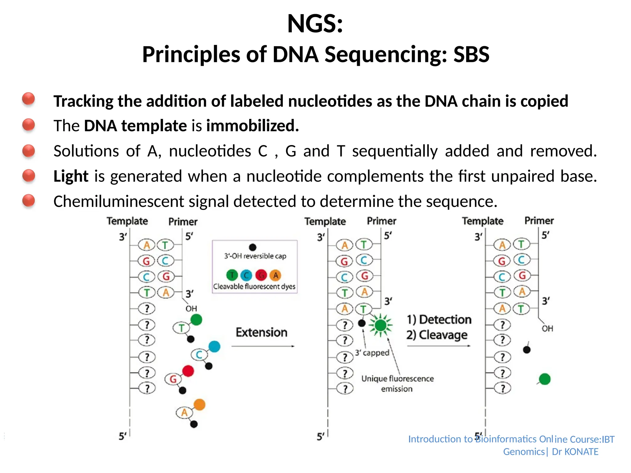NGS:
Principles of DNA Sequencing: SBS
Tracking the addition of labeled nucleotides as the DNA chain is copied
The DNA template is immobilized.
Solutions of A, nucleotides C , G and T sequentially added and removed.
Light is generated when a nucleotide complements the first unpaired base.
Chemiluminescent signal detected to determine the sequence.
Introduction to Bioinformatics Online Course:IBT
Genomics| Dr KONATE
 