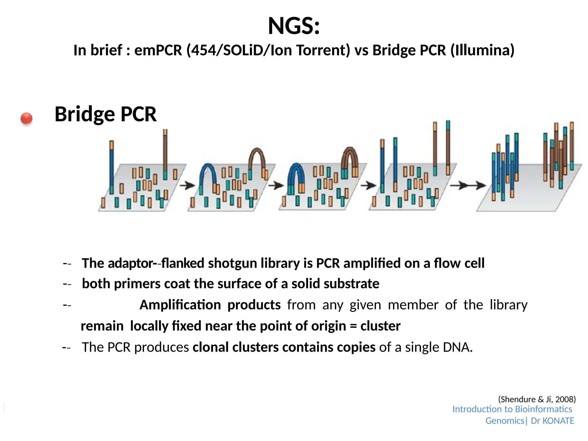 NGS:
In brief : emPCR (454/SOLiD/Ion Torrent) vs Bridge PCR (Illumina)
Bridge PCR
(Shendure & Ji, 2008)
Introduction to Bioinformatics
Genomics| Dr KONATE
-­
‐ The adaptor-­flanked
‐ shotgun library is PCR amplified on a flow cell
-­
‐ both primers coat the surface of a solid substrate
-­
‐ Amplification products from any given member of the library
remain locally fixed near the point of origin = cluster
-­
‐ The PCR produces clonal clusters contains copies of a single DNA.
 