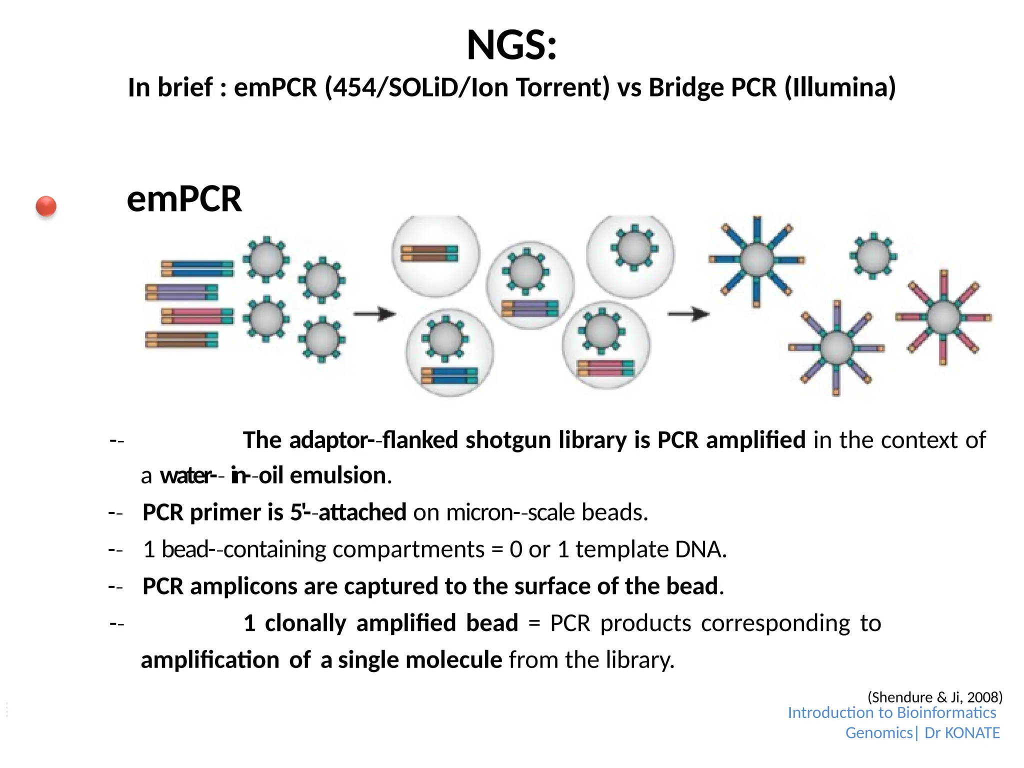 NGS:
In brief : emPCR (454/SOLiD/Ion Torrent) vs Bridge PCR (Illumina)
emPCR
-­
‐ The adaptor-­flanked
‐ shotgun library is PCR amplified in the context of
a water-­
‐ in-­oil
‐ emulsion.
-­
‐ PCR primer is 5'-­attached
‐ on micron-­scale
‐ beads.
-­
‐ 1 bead-­containing
‐ compartments = 0 or 1 template DNA.
-­
‐ PCR amplicons are captured to the surface of the bead.
-­
‐ 1 clonally amplified bead = PCR products corresponding to
amplification of a single molecule from the library.
(Shendure & Ji, 2008)
Introduction to Bioinformatics
Genomics| Dr KONATE
 
