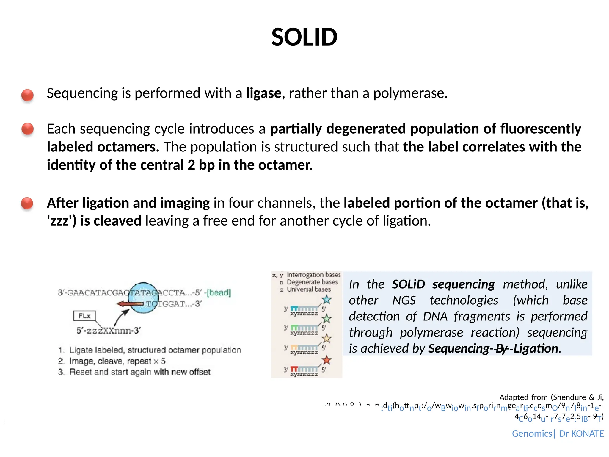 SOLID
In the SOLiD sequencing method, unlike
other NGS technologies (which base
detection of DNA fragments is performed
through polymerase reaction) sequencing
is achieved by Sequencing-­By-
‐ ­Ligation
‐ .
Sequencing is performed with a ligase, rather than a polymerase.
Each sequencing cycle introduces a partially degenerated population of fluorescently
labeled octamers. The population is structured such that the label correlates with the
identity of the central 2 bp in the octamer.
After ligation and imaging in four channels, the labeled portion of the octamer (that is,
'zzz') is cleaved leaving a free end for another cycle of ligation.
Adapted from (Shendure & Ji,
I2n0t0r8o)dauncdti(hottnpt:/o/wBwiowin.sfporirnmgearti.ccosmO/9n7l8in-­1
‐ e-­
‐
4C6o14u-­
‐r7s7e2:5IB-­9
‐ T)
Genomics| Dr KONATE
 