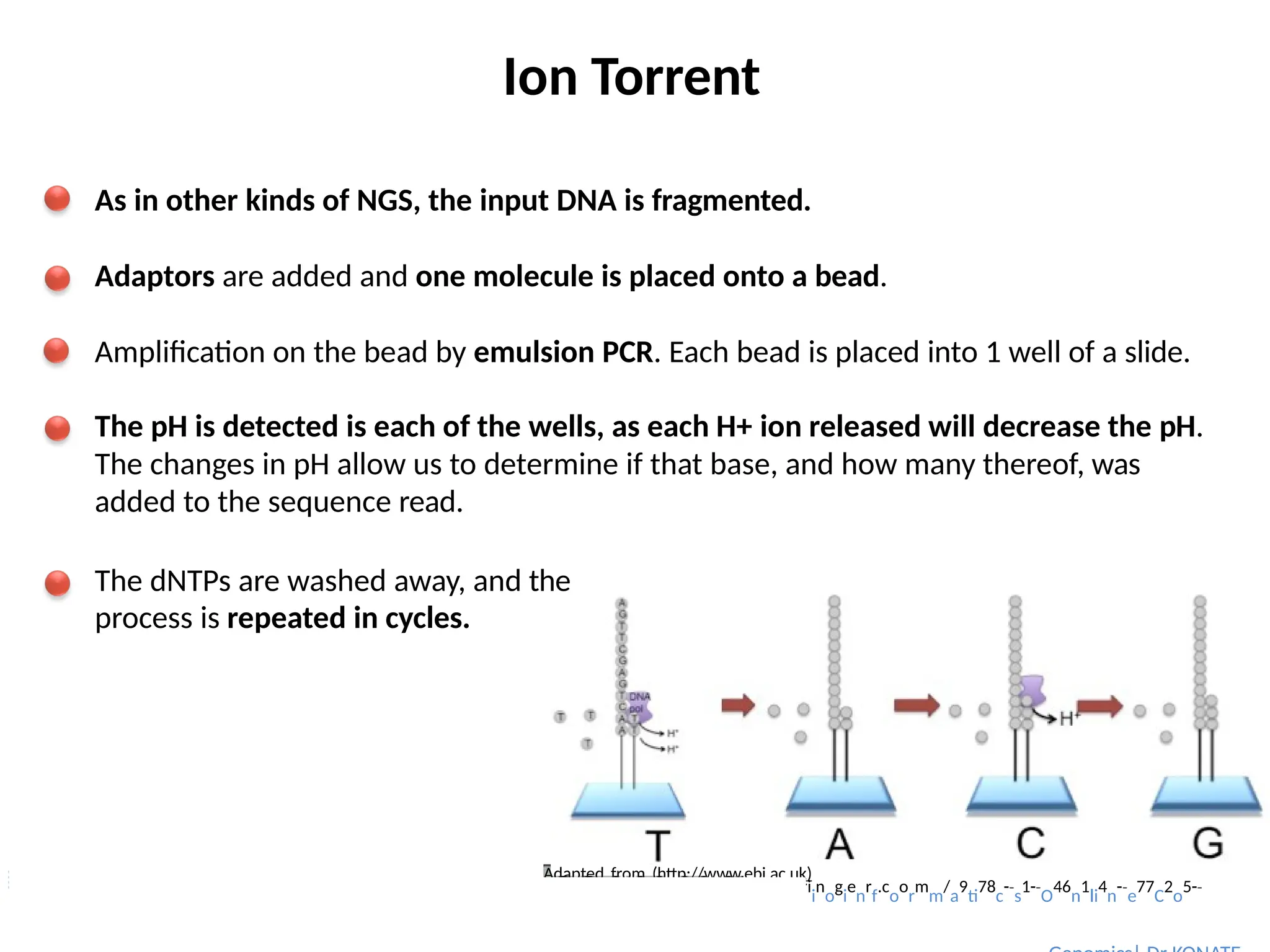 Ion Torrent
As in other kinds of NGS, the input DNA is fragmented.
Adaptors are added and one molecule is placed onto a bead.
Amplification on the bead by emulsion PCR. Each bead is placed into 1 well of a slide.
The pH is detected is each of the wells, as each H+ ion released will decrease the pH.
The changes in pH allow us to determine if that base, and how many thereof, was
added to the sequence read.
The dNTPs are washed away, and the
process is repeated in cycles.
Adapted from (http://www.ebi.ac.uk)
a
I
n
n
d
tr
(
o
htt
d
p
u
:
c
//
ti
w
o
w
n
w
t
.
o
sp
B
ri
i
n
o
g
i
e
n
r
f
.c
o
o
r
m
m
/
a
9
ti
78
c
-­
‐
s
1-­
‐
O
46
n
1
li
4
n
-­
‐
e
77
C
2
o
5-­
‐
u
9
r
)
s e : I B T
 