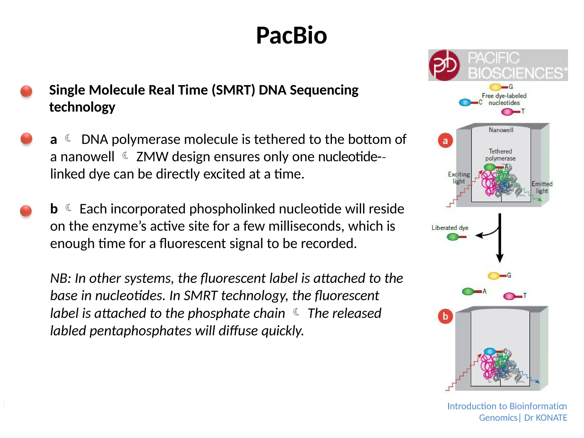 PacBio
Single Molecule Real Time (SMRT) DNA Sequencing
technology
a  DNA polymerase molecule is tethered to the bottom of
a nanowell  ZMW design ensures only one nucleotide-­
‐
linked dye can be directly excited at a time.
b  Each incorporated phospholinked nucleotide will reside
on the enzyme’s active site for a few milliseconds, which is
enough time for a fluorescent signal to be recorded.
NB: In other systems, the ﬂuorescent label is attached to the
base in nucleotides. In SMRT technology, the ﬂuorescent
label is attached to the phosphate chain  The released
labled pentaphosphates will diffuse quickly.
Introduction to Bioinformation
Genomics| Dr KONATE
 