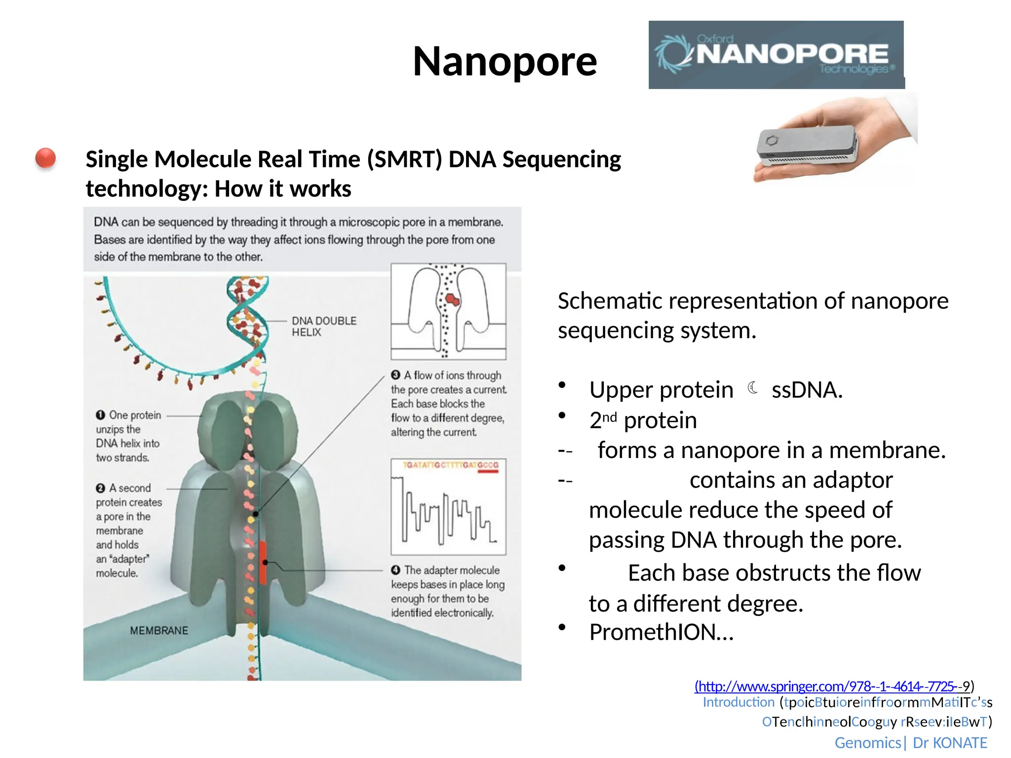 Nanopore
Schematic representation of nanopore
sequencing system.
 Upper protein  ssDNA.
 2nd protein
-­
‐ forms a nanopore in a membrane.
-­
‐ contains an adaptor
molecule reduce the speed of
passing DNA through the pore.
 Each base obstructs the flow
to a different degree.
 PromethION…
Single Molecule Real Time (SMRT) DNA Sequencing
technology: How it works
(http://www.springer.com/978-­1-
‐ ­4614-
‐ ­7725-
‐ ­9
‐ )
Introduction (tpoicBtuioreinffroormmMatiITc’ss
OTenclhinneolCooguy rRseev:iIeBwT)
Genomics| Dr KONATE
 