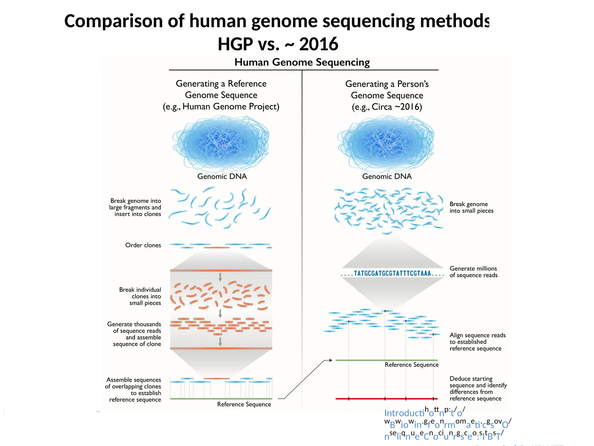 Comparison of human genome sequencing methods
HGP vs. ~ 2016
Introductih
ott
np:
t/
o/
w
Bw
iow
in.g
fe
on
rmom
ae
ti.
cg
sov
O/
nse
liq
nu
ee
Cn
oci
un
rg
sc
eo
:s
It
Bs
T/
 