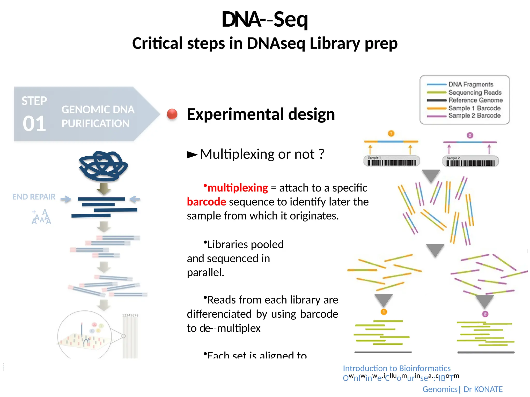 DNA-­Seq
‐
Critical steps in DNAseq Library prep
STEP
01
GENOMIC DNA
PURIFICATION
AAA
A A
END REPAIR
+ A
Experimental design
►Multiplexing or not ?
multiplexing = attach to a specific
barcode sequence to identify later the
sample from which it originates.
Libraries pooled
and sequenced in
parallel.
Reads from each library are
differenciated by using barcode
to de-­multiplex
‐
Each set is aligned to
the reference genome Introduction to Bioinformatics
Ownlwinwe.iClluomurinsea.:cIBoTm
Genomics| Dr KONATE
 