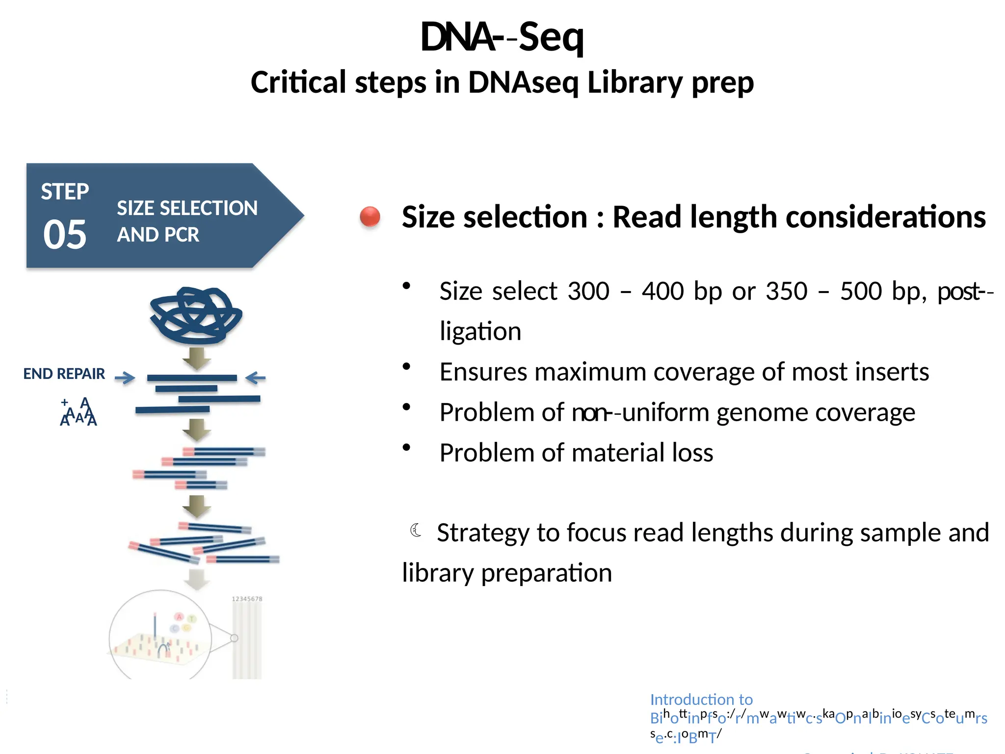 DNA-­Seq
‐
Critical steps in DNAseq Library prep
STEP
05
SIZE SELECTION
AND PCR
AAA
A A
END REPAIR
+ A
Size selection : Read length considerations
 Size select 300 – 400 bp or 350 – 500 bp, post-­
‐
ligation
 Ensures maximum coverage of most inserts
 Problem of non-­uniform
‐ genome coverage
 Problem of material loss
 Strategy to focus read lengths during sample and
library preparation
Introduction to
Bihottinpfso:/r/mwawtiwc.skaOpnalbinioesyCsoteumrs
se.c:IoBmT/
 