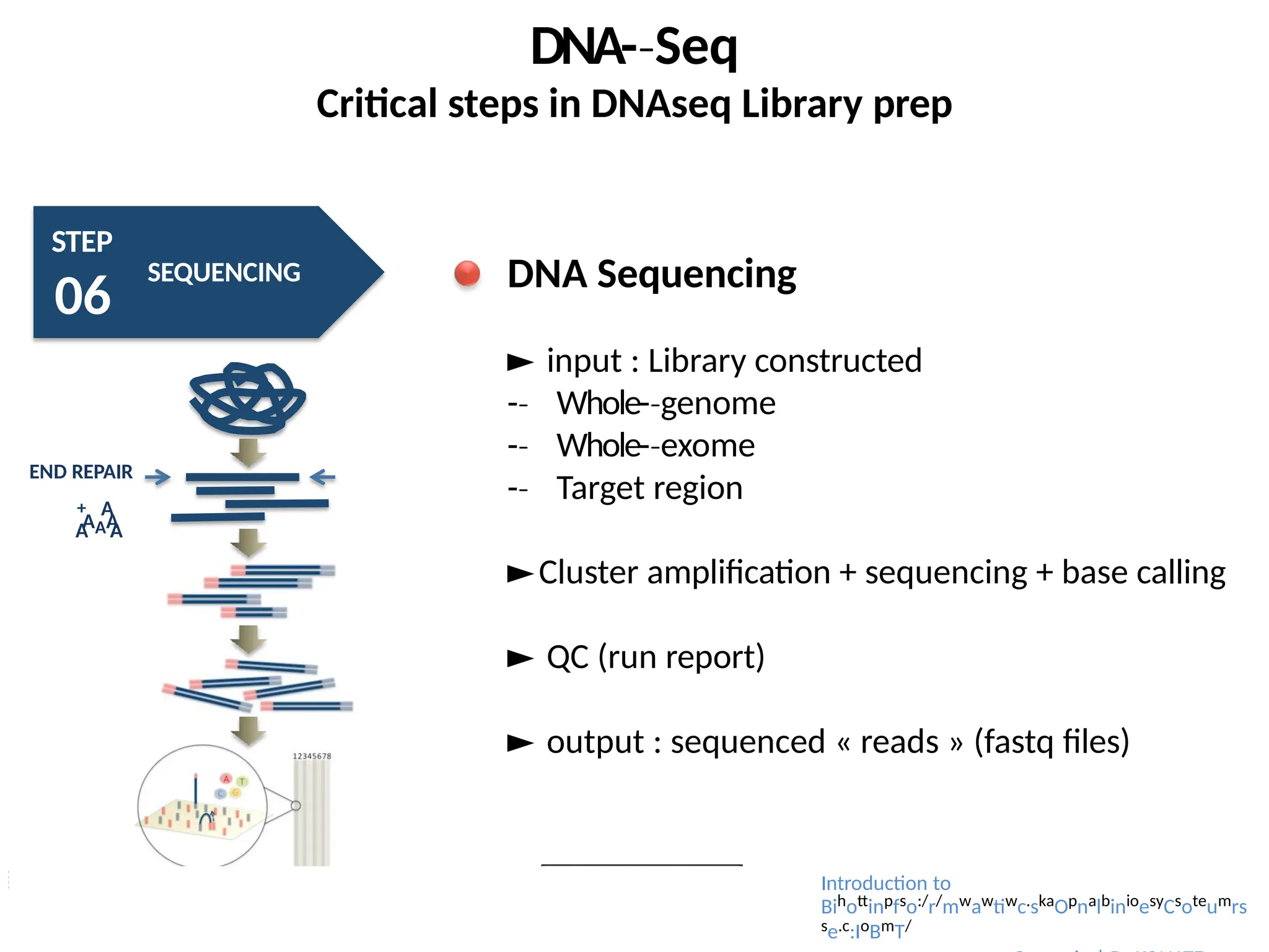 DNA-­Seq
‐
Critical steps in DNAseq Library prep
STEP
06
SEQUENCING
AAA
A A
END REPAIR
+ A
DNA Sequencing
► input : Library constructed
-­
‐ Whole-­genome
‐
-­
‐ Whole-­exome
‐
-­
‐ Target region
►Cluster amplification + sequencing + base calling
► QC (run report)
► output : sequenced « reads » (fastq files)
Introduction to
Bihottinpfso:/r/mwawtiwc.skaOpnalbinioesyCsoteumrs
se.c:IoBmT/
 