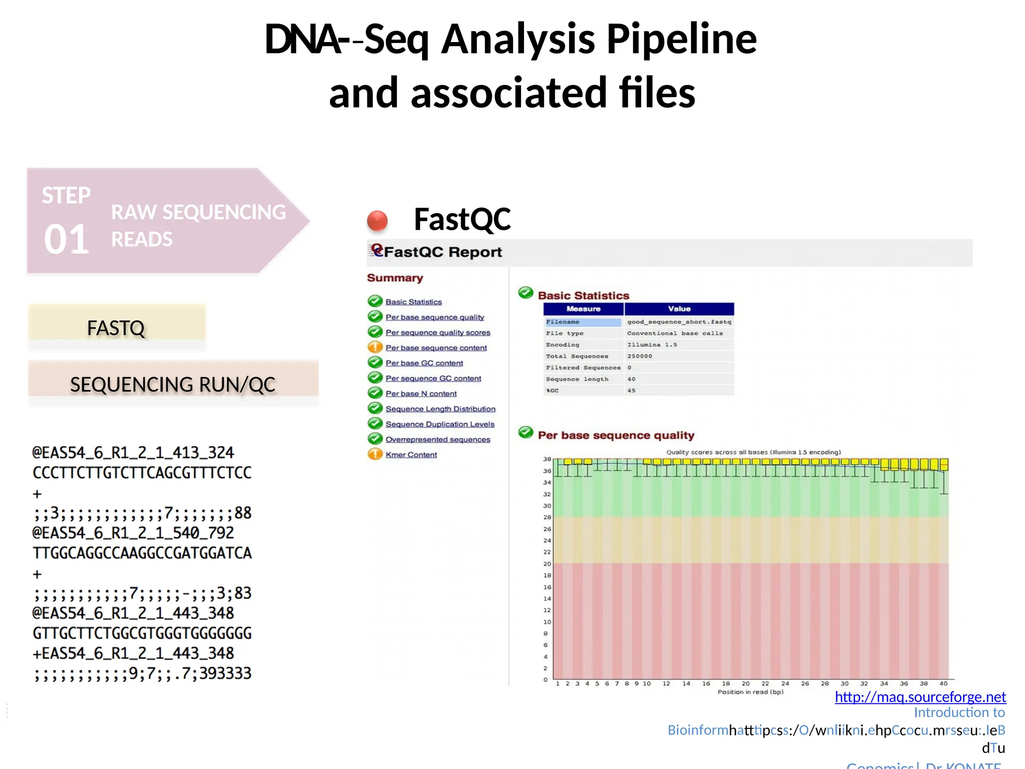 DNA-­Seq
‐ Analysis Pipeline
and associated files
STEP
01
RAW SEQUENCING
READS
FastQC
FASTQ
SEQUENCING RUN/QC
http://maq.sourceforge.net
Introduction to
Bioinformhatttipcss:/O/wnliikni.ehpCcocu.mrsseu:.IeB
dTu
 