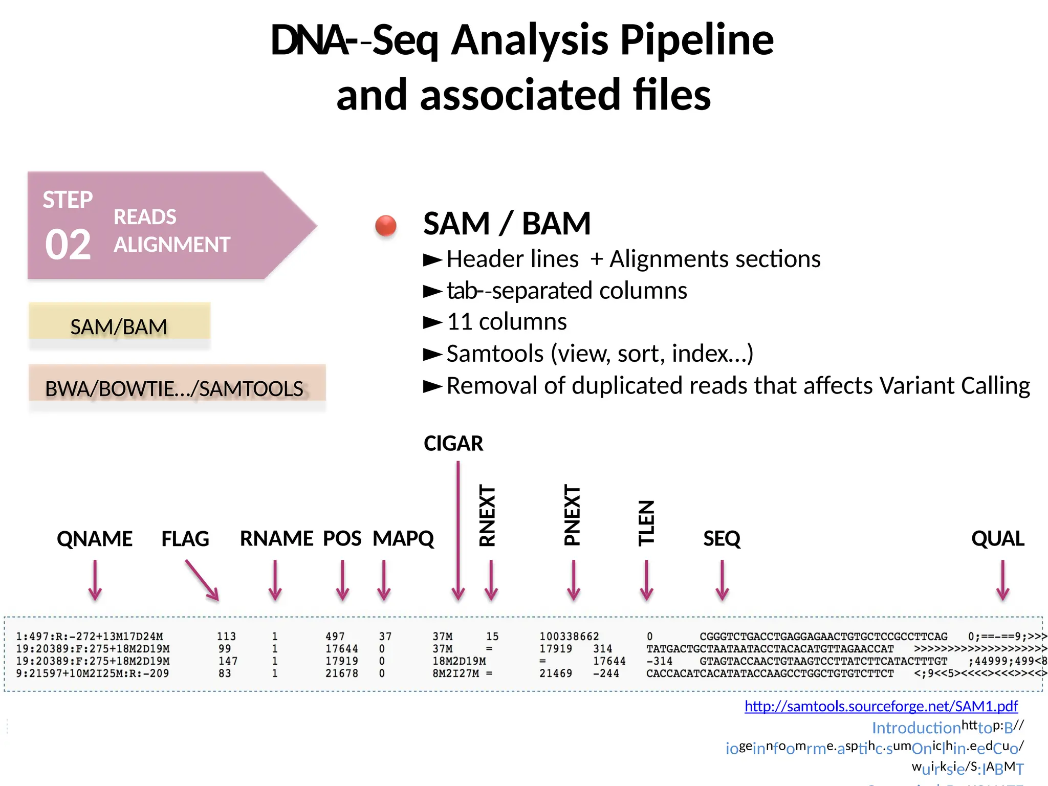 DNA-­Seq
‐ Analysis Pipeline
and associated files
STEP
02
READS
ALIGNMENT
SAM/BAM
BWA/BOWTIE…/SAMTOOLS
SAM / BAM
►Header lines + Alignments sections
►tab-­separated
‐ columns
►11 columns
►Samtools (view, sort, index…)
►Removal of duplicated reads that affects Variant Calling
http://samtools.sourceforge.net/SAM1.pdf
QNAME FLAG
RNEXT
PNEXT
TLEN
SEQ
RNAME POS MAPQ
Introductionhtttop:B//
iogeinnfoomrme.asptihc.sumOniclhin.eedCuo/
wuirksie/S:IABMT
CIGAR
QUAL
 