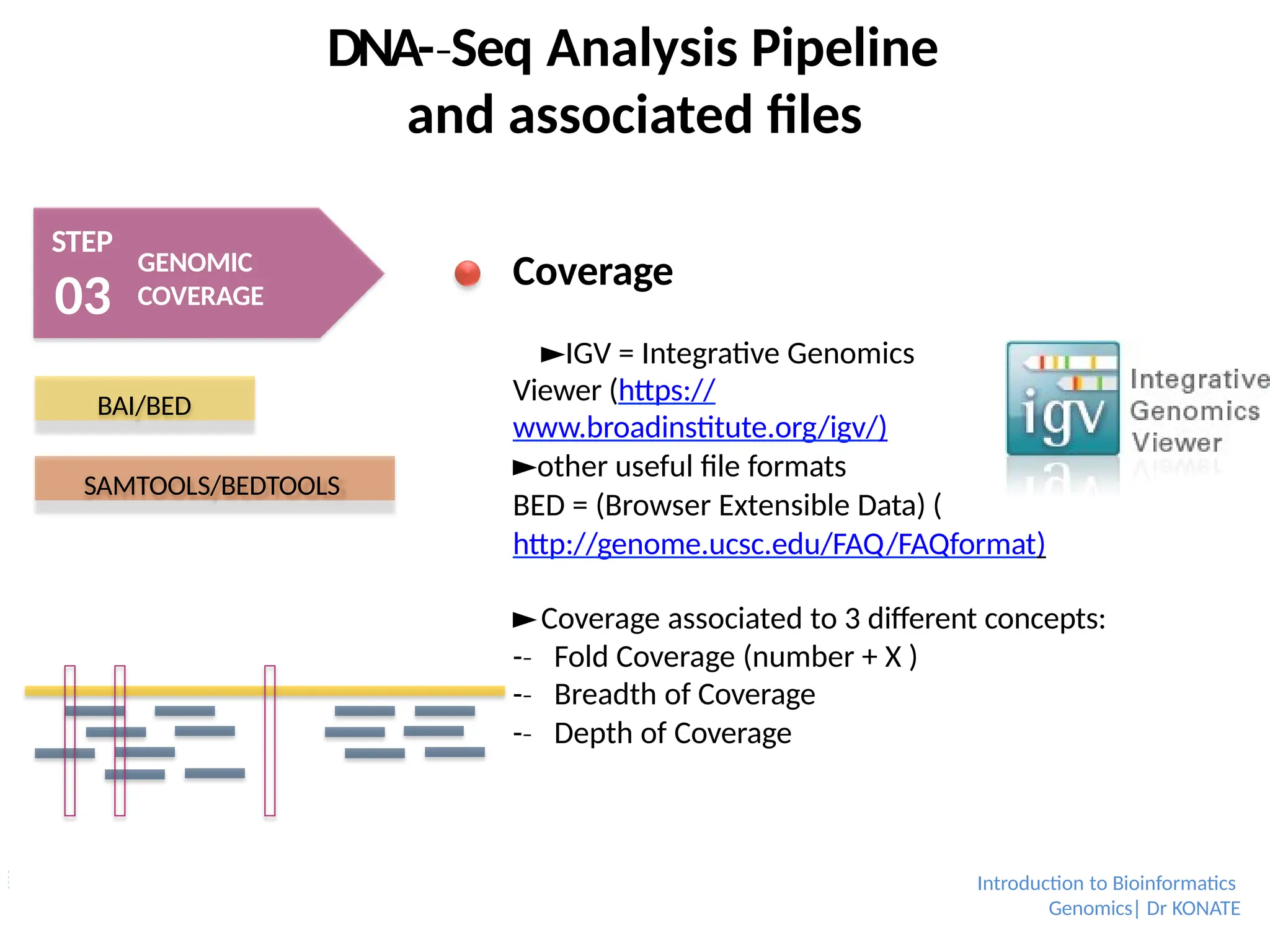 DNA-­Seq
‐ Analysis Pipeline
and associated files
STEP
03
GENOMIC
COVERAGE
Coverage
►IGV = Integrative Genomics
Viewer (https://
www.broadinstitute.org/igv/)
►other useful file formats
BED = (Browser Extensible Data) (
http://genome.ucsc.edu/FAQ/FAQformat)
►Coverage associated to 3 different concepts:
-­
‐ Fold Coverage (number + X )
-­
‐ Breadth of Coverage
-­
‐ Depth of Coverage
BAI/BED
SAMTOOLS/BEDTOOLS
Introduction to Bioinformatics
Genomics| Dr KONATE
 