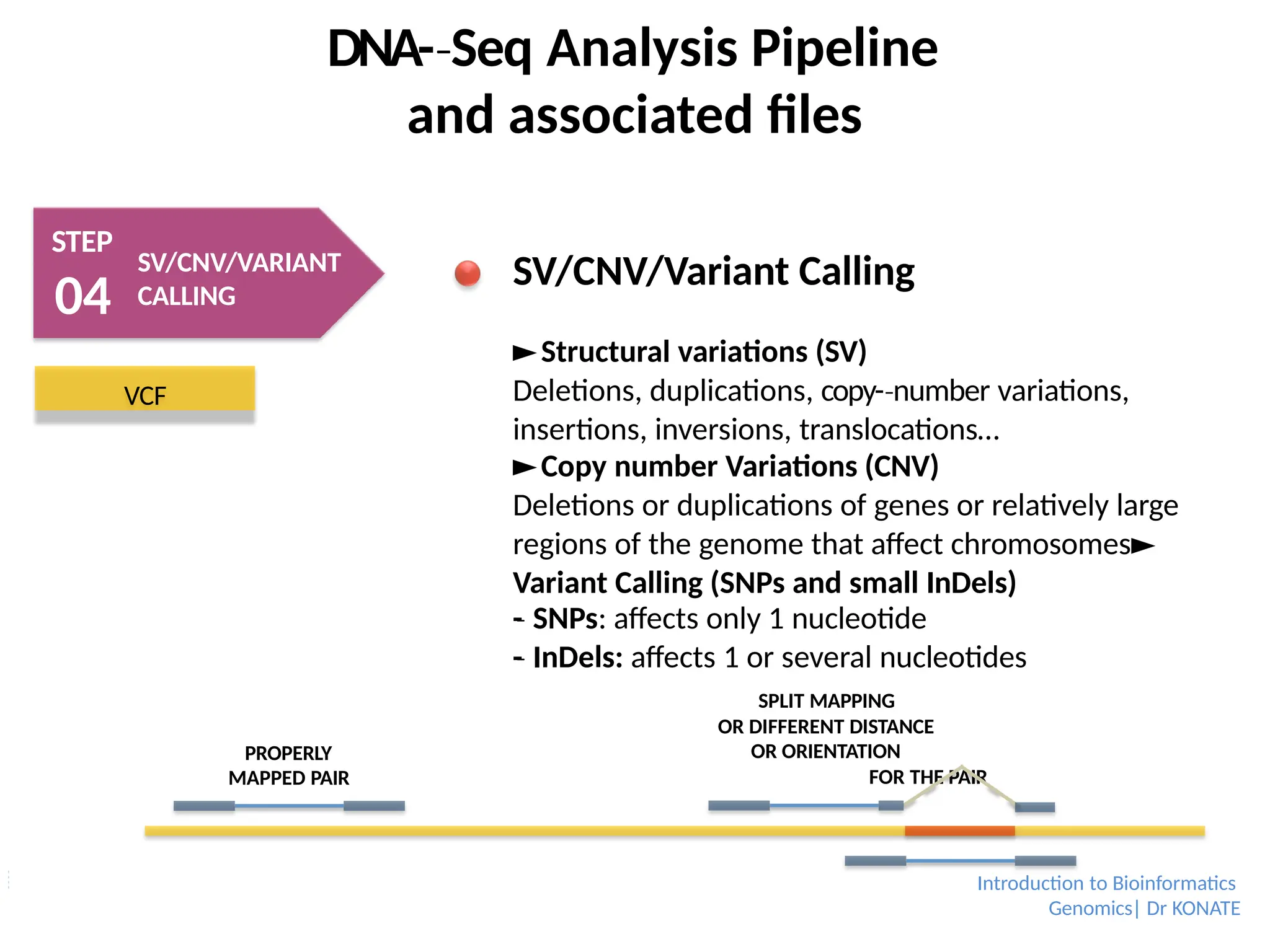 DNA-­Seq
‐ Analysis Pipeline
and associated files
STEP
04
SV/CNV/VARIANT
CALLING
VCF
PROPERLY
MAPPED PAIR
SV/CNV/Variant Calling
►Structural variations (SV)
Deletions, duplications, copy-­number
‐ variations,
insertions, inversions, translocations…
►Copy number Variations (CNV)
Deletions or duplications of genes or relatively large
regions of the genome that affect chromosomes►
Variant Calling (SNPs and small InDels)
-
­
‐ SNPs: affects only 1 nucleotide
-
­
‐ InDels: affects 1 or several nucleotides
SPLIT MAPPING
OR DIFFERENT DISTANCE
OR ORIENTATION
FOR THE PAIR
Introduction to Bioinformatics
Genomics| Dr KONATE
 