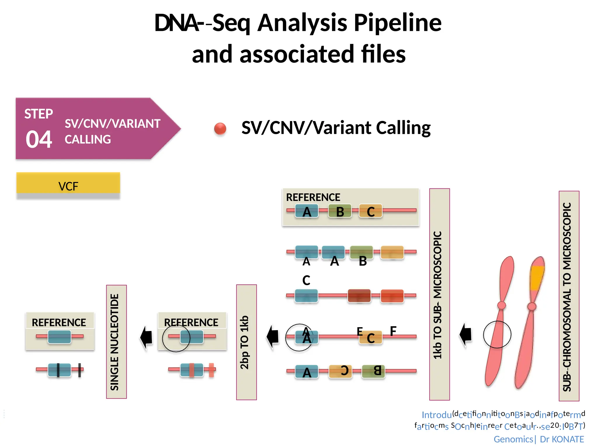 DNA-­Seq
‐ Analysis Pipeline
and associated files
STEP
04
SV/CNV/VARIANT
CALLING
SV/CNV/Variant Calling
SUB-­CHROMOSOMAL
‐
TO
MICROSCOPIC
2bp
TO
1kb
REFERENCE
REFERENCE
SINGLE
NUCLEOTIDE
A C
A
B
C
A B C
REFERENCE
1kb
TO
SUB-­
‐
MICROSCOPIC
A A B
C
A E F
VCF
Introdu(dcetifionnititoonBsiaodinafpotermd
fartiocms SOcnhleinreer Cetoaulr.,se20:I0B7T)
Genomics| Dr KONATE
 