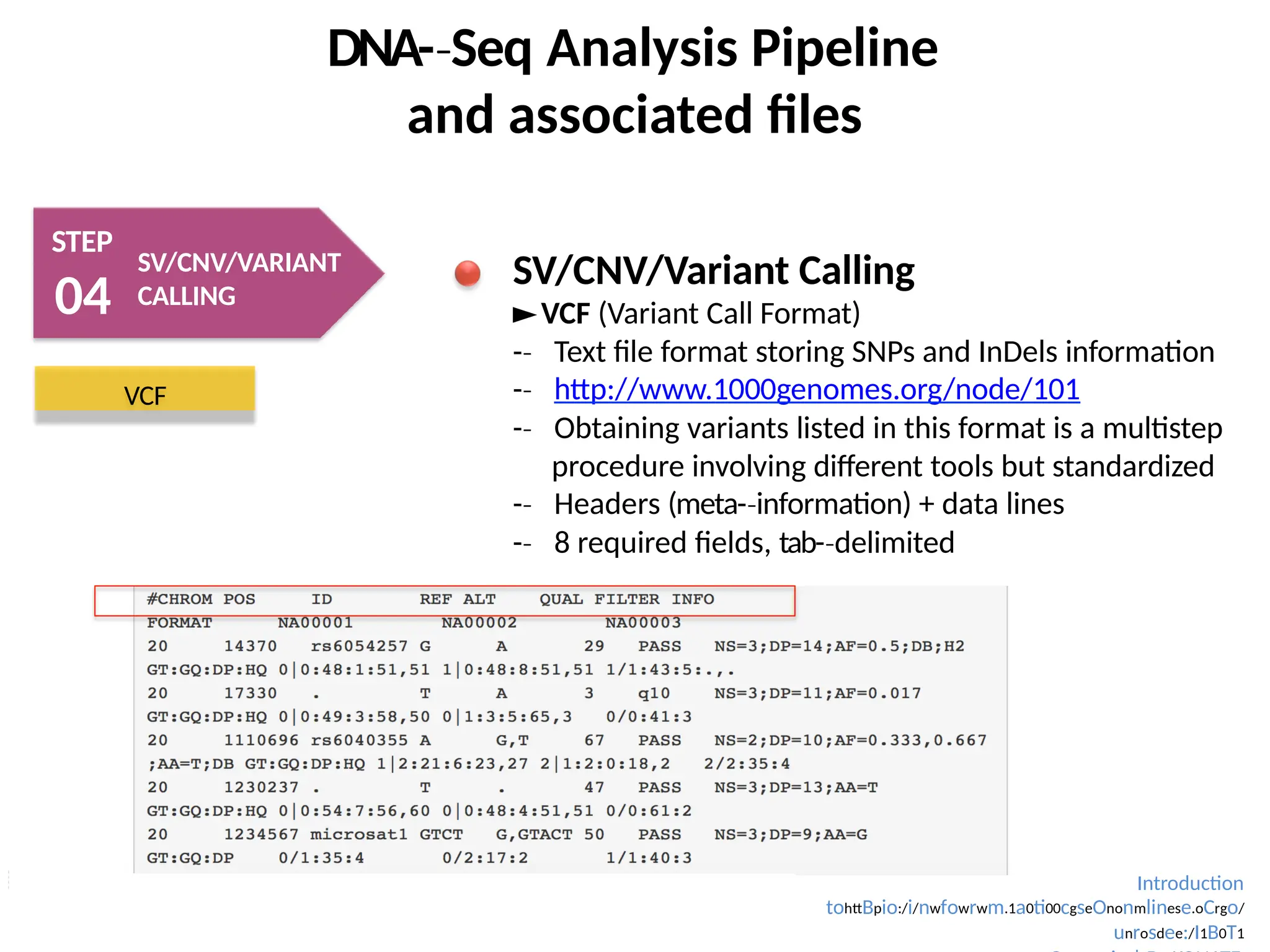 DNA-­Seq
‐ Analysis Pipeline
and associated files
STEP
04
SV/CNV/VARIANT
CALLING
SV/CNV/Variant Calling
►VCF (Variant Call Format)
-­
‐ Text file format storing SNPs and InDels information
-­
‐ http://www.1000genomes.org/node/101
-­
‐ Obtaining variants listed in this format is a multistep
procedure involving different tools but standardized
-­
‐ Headers (meta-­information)
‐ + data lines
-­
‐ 8 required fields, tab-­delimited
‐
VCF
Introduction
tohttBpio:/i/nwfowrwm.1a0ti00cgseOnonmlinese.oCrgo/
unrosdee:/I1B0T1
 