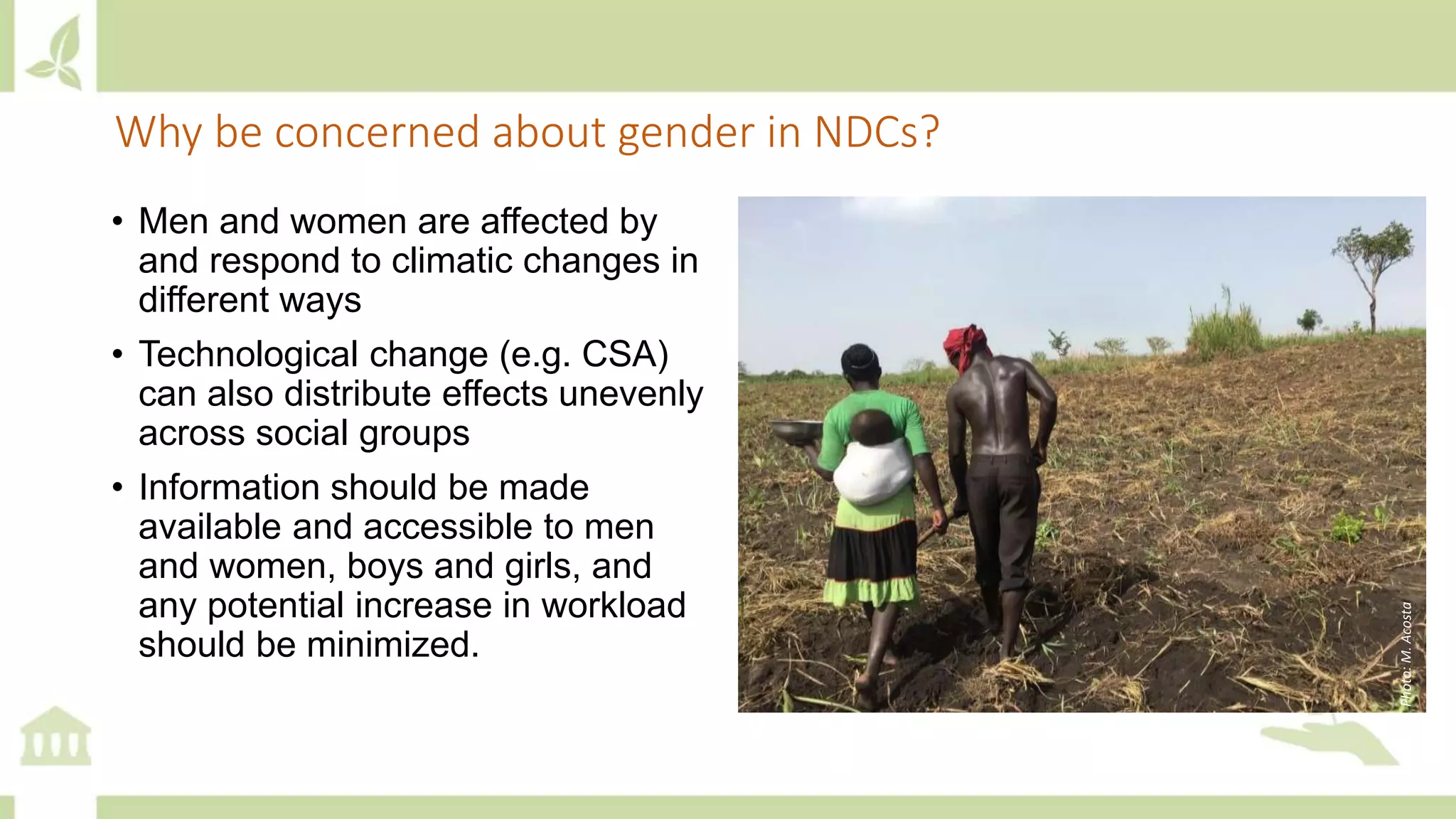 Why be concerned about gender in NDCs?
• Men and women are affected by
and respond to climatic changes in
different ways
• Technological change (e.g. CSA)
can also distribute effects unevenly
across social groups
• Information should be made
available and accessible to men
and women, boys and girls, and
any potential increase in workload
should be minimized.
Photo:M.Acosta
 